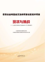 云南省全球基金艾滋病项目社区组织项目现状与挑战