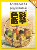 基础绘画色彩全程训练 色彩临摹