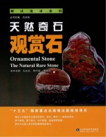 天然奇石 观赏石