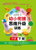 幼小衔接思维升级训练 中班 下
