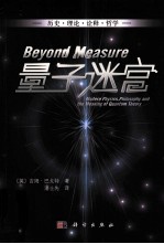 量子迷宫 历史理论诠释哲学