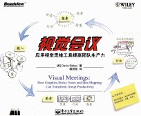 视觉会议 应用视觉思维工具提高团队生产力 双色