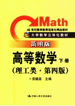 高等数学 理工类 简明版 下