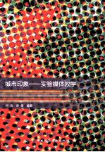 城市印象 实验媒体教学