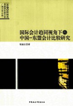 国际会计趋同视角下的中国-东盟会计比较研究