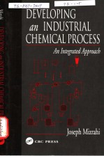 Mizrahi DEVELOPING AN INDUSTRIAL CHEMICAL PROCESS