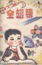 金翅膀