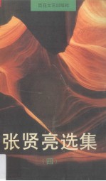 张贤亮选集 4