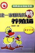 建一家赚钱的鸭养殖场