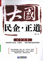 大国·民企·正道