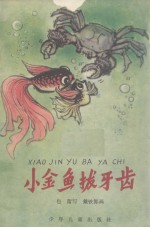 小金鱼拔牙齿 中