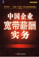 中国式宽带薪酬