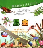 最有趣的十万个为什么 昆虫