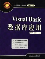 Visual Basic数据库应用