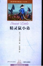 精灵鼠小弟