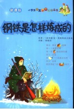 钢铁是怎样炼成的