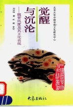 觉醒与沉沦 魏晋风度及其文化表现