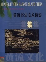 黄流书法美术摄影集