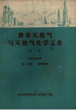 世界天然气与天然气化学工业 第1册