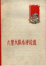 六里大队小评论选