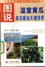 图说温室黄瓜高效栽培关键技术