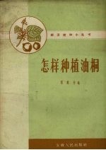 怎样种植油桐