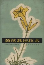 黄花栽培技术 农民黄德卿、胡菊卿谈经验