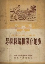 怎样栽培和保存地瓜