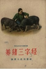 养猪三字经