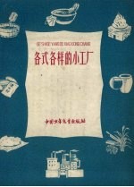 各式各样的小工厂 1