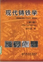 现代铸铁学