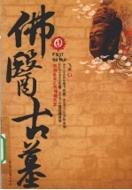 佛医古墓 1
