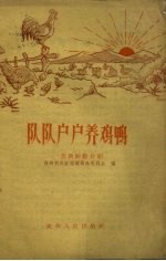 队队户户养鸡鸭 养禽经验介绍