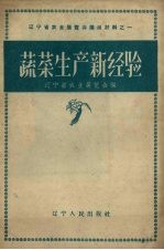 蔬菜生产新经验