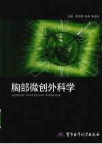 胸部微创外科学