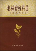 怎样育好烟苗