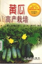 黄瓜高产栽培
