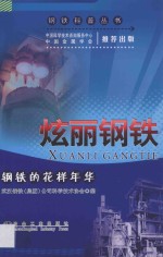 炫丽钢铁 钢铁的花样年华