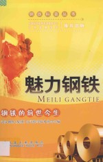 魅力钢铁 钢铁的前世今生