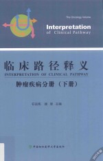 临床路径释义 肿瘤疾病分册 下