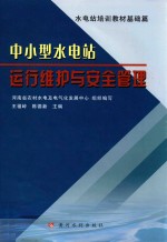 中小型水电站运行维护与安全管理