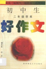 初中生好作文·二年级