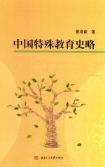 中国特殊教育史略