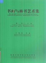 书画与画书艺术 第1集 下