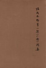 陈氏太极拳小架(小圈)精要