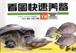看图快速养鳖