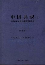 中国共识：中华复兴的和谐发展道路