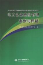 电力企业班组管理案例与评析