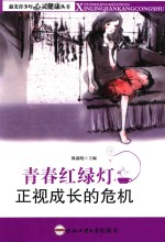 青春红绿灯 正视成长的危机