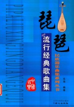 民族器乐曲集系列丛书 琵琶流行经典歌曲集